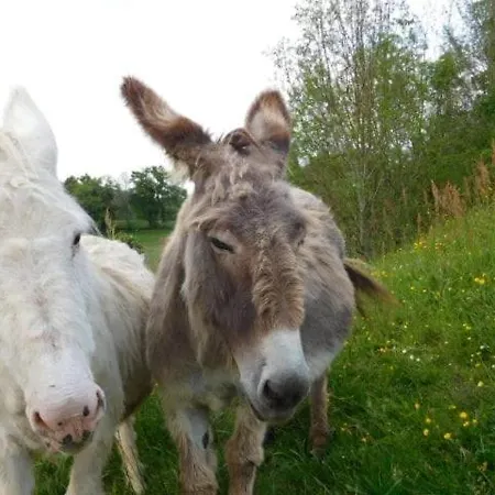 Domaine Garmidou Feriehus Lucq-de-Béarn