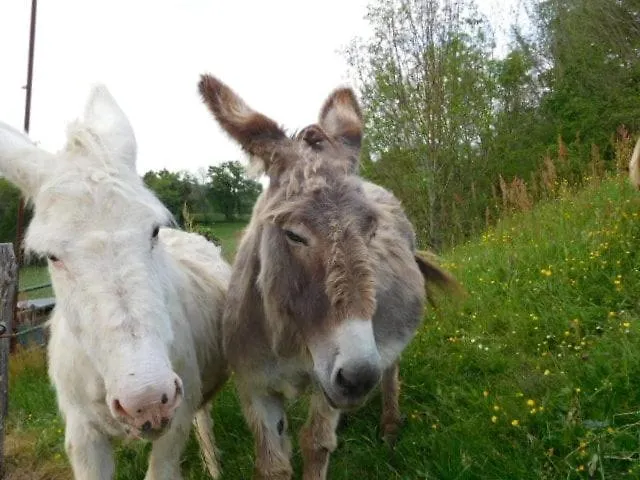 Domaine Garmidou Nyaraló Lucq-de-Béarn